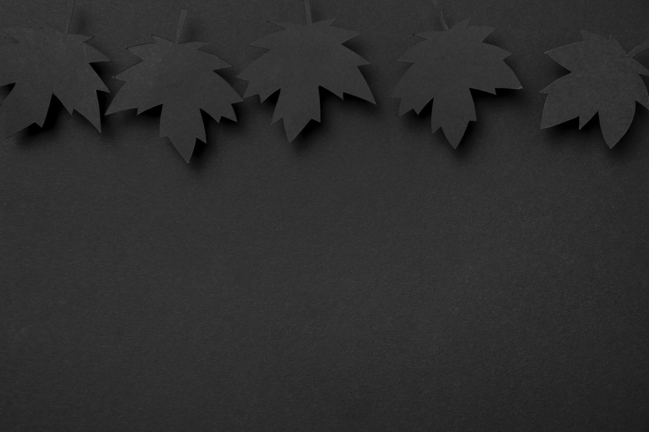 promo-banner-image